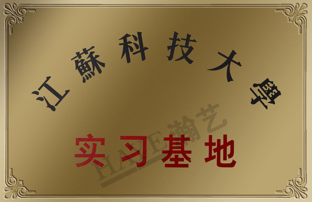 ʵϰ